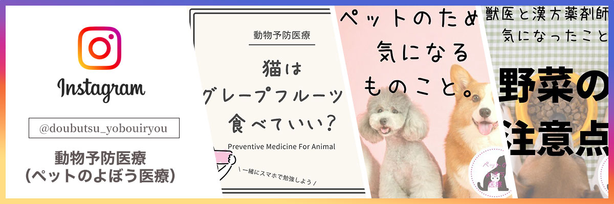 動物予防医療（ペットのよぼう医療）